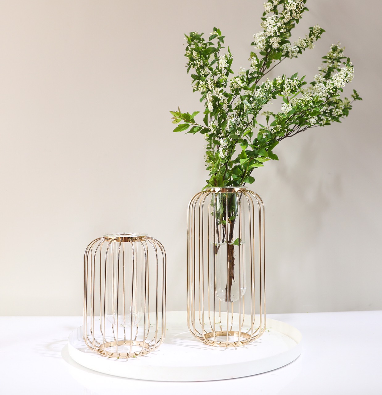 z2437734112882_082c4309fbd550f259092e0711a198bb